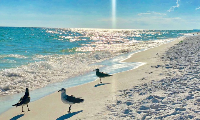 Destin Condo | Silver Dunes Condominium
