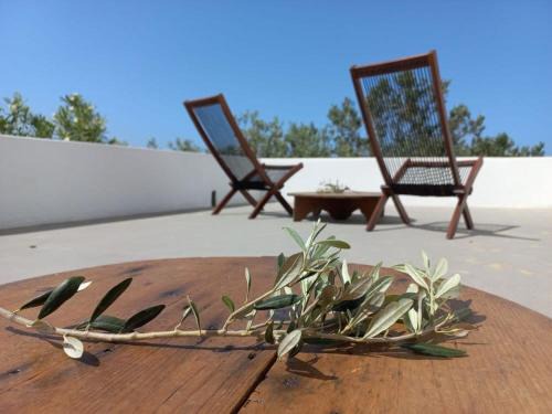 Skiros House | Skyros BnB ANNA House in Brooke