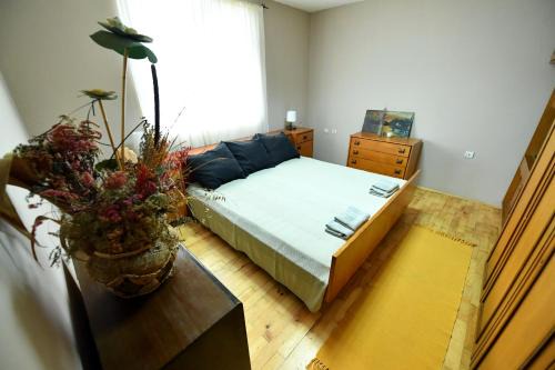Central Serbia Apartment | Smestaj SIMOVIC 1