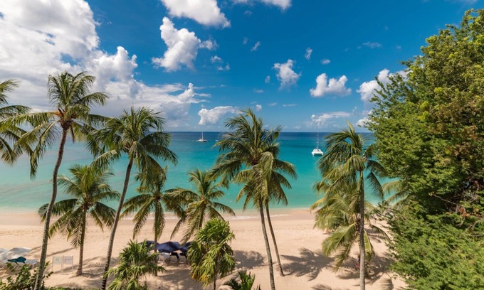 Old Trees Bay Villa | Smugglers Cove 6 (3 bed): Beachfront condo