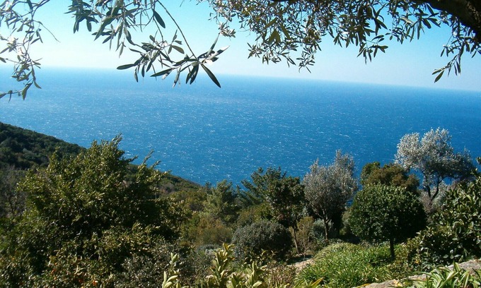 Pisciotta Apartment | Spacious and light-filled room with independent access