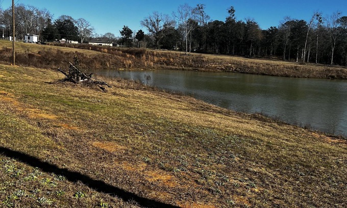 Molino House | Spacious with plenty of acres