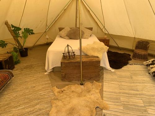 Rottingdean Other | Spindle Tree Glamping near Brighton