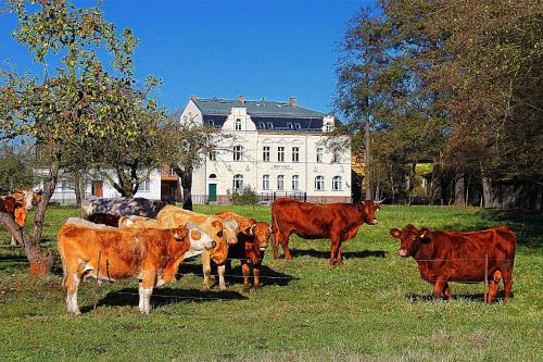 Lubbenau/Spreewald Apartment | Spree Chalet - adults only