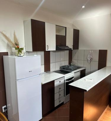Sabac Apartment | Stan na dan Uzanovic