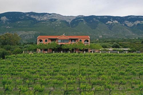 Mousata Apartment | Stella Vineyard