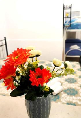 Vasto Apartment | Stellina in centro Sweet Apartaments