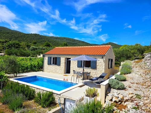 Kneza House | Stone house in vineyard