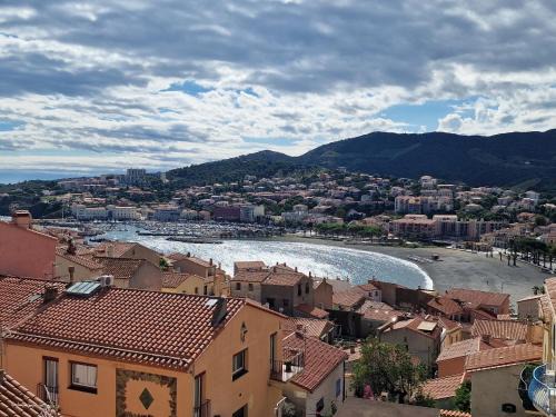 Banyuls-sur-Mer Apartment | Studio à Banyuls-sur-Mer avec terrasse proche plages et commerces - FR-1-309-73
