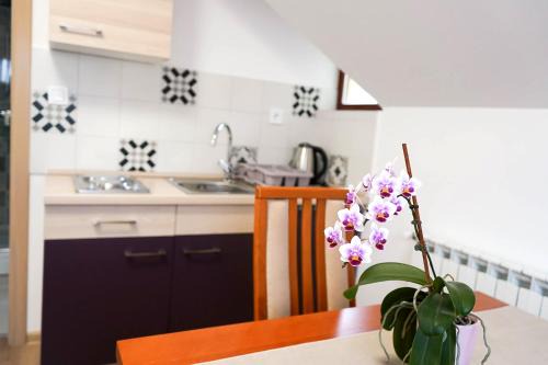 Krapinske Toplice Apartment | Studio Apartman Šafranko