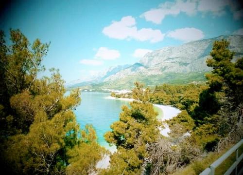 Promajna Apartment | Studio Apt, Promajna, Makarska Rivijera