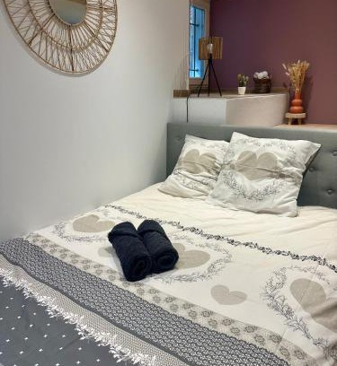 Kaysersberg-Vignoble Apartment | Studio cosy Kaysersberg centre
