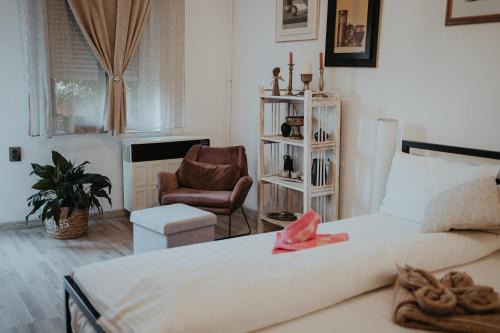 Cluj-Napoca City Centre Apartment | Studio Eroilor