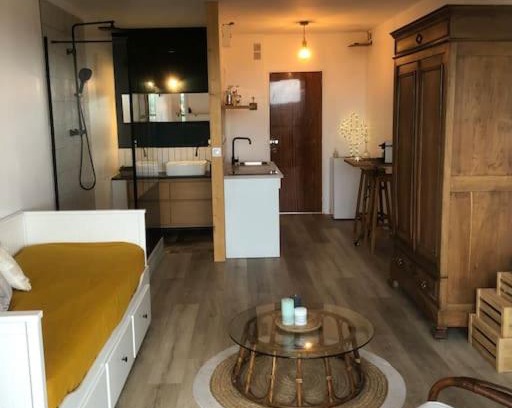 Montrichard Val de Cher Apartment | Studio / Loft vue sur la Vallée du Cher