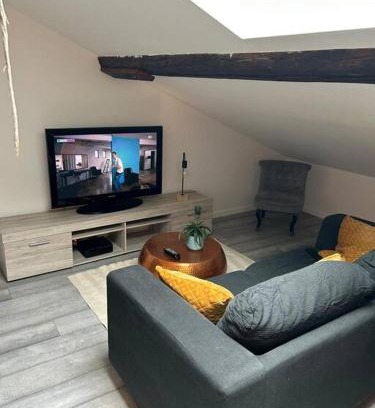 Metz-Centre – Ancienne Ville Apartment | Studio Metz centre & gare