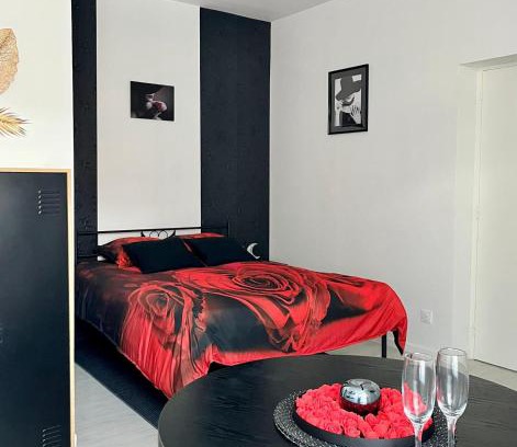 Cambrai Apartment | Studio Paul Bert-1 de midi à 11h le lendemain