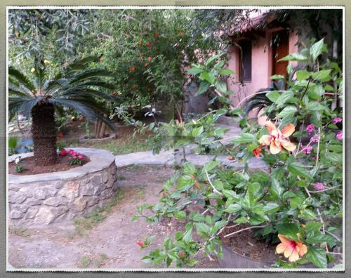 Kantanos-Selino House | Stunning 2-Bedrooms private Cottage in Palaiochora
