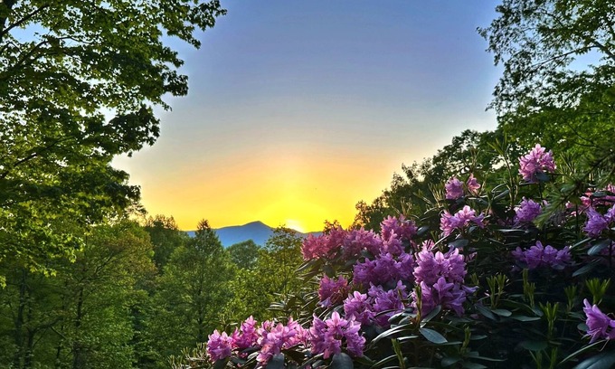 Waynesville Cabin | Stunning 3-bedroom private mountain retreat nestled in the Smoky Mountains
