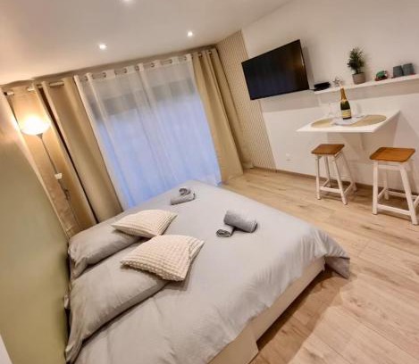Wintzenheim Apartment | Suite cosy indépendante Évasion 2 proximité Colmar