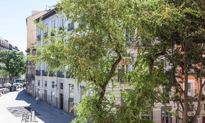 Centro Apartment | Sunny Urban Apt. Historic District - Sol