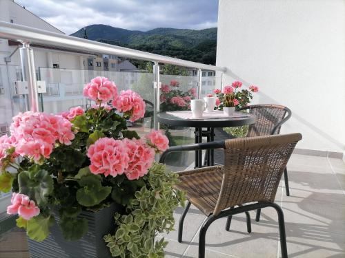 Banja Koviljaca Apartment | SvjetlanAlex 2