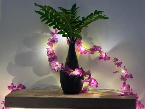Ejipura Apartment | Swarga Fireflies Swarm
