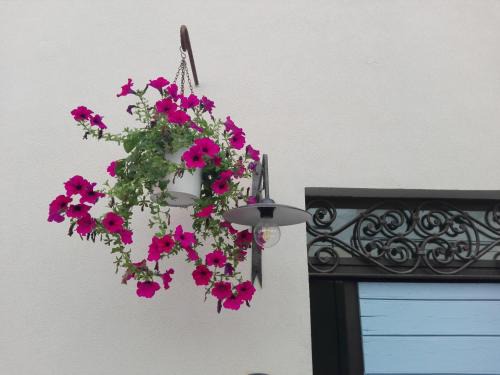 Pesaro Bed & Breakfast | Tambien B&B