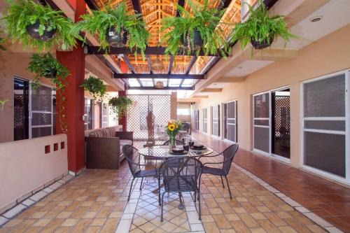 Downtown Cabo San Lucas Apartment | Terraza Studios