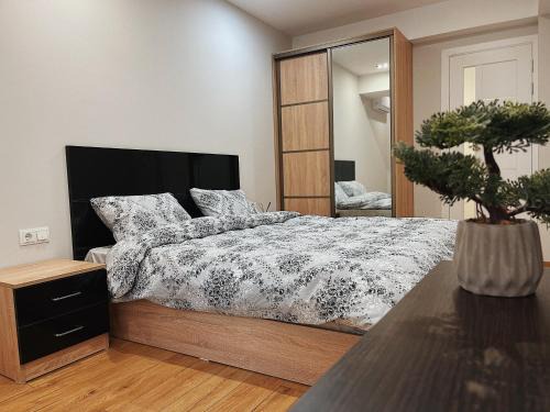 Chisinau Apartment | Testimitanu Star Kids