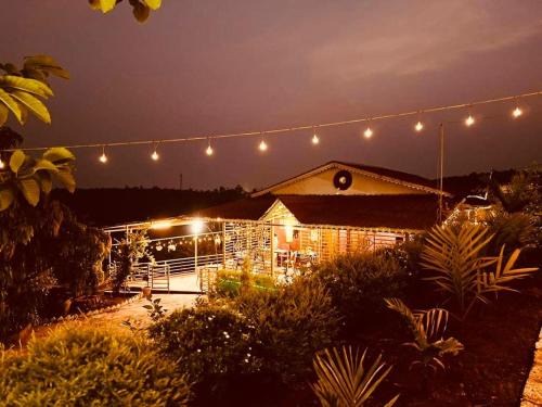 Anjarle Hotel | The Alphonso Mango County