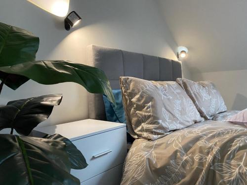 Tamworth House | The Cottontail - Modern Private Room With Breakfast - Tamworth