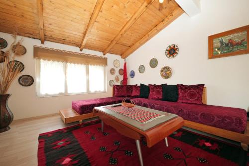 Shkoder House | The house of dreams