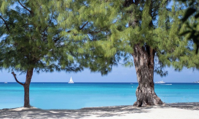 Seven Mile Beach Apartment | The Islands Club