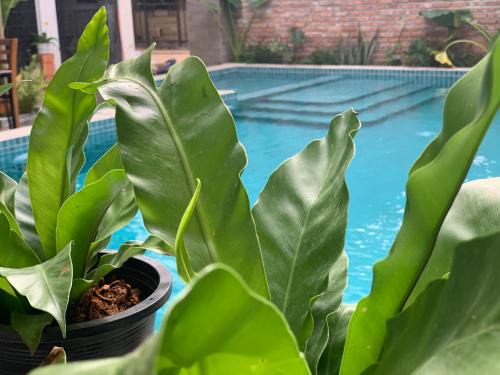 Kampot Hotel | The J Break Boutique