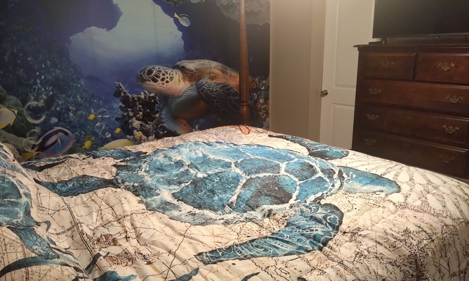 Weeki Wachee Gardens House | The Manatee Hideaway II-3 Bed/2Bath-40' Dock-5 Kayaks&Canoe-Adventure Awaits You