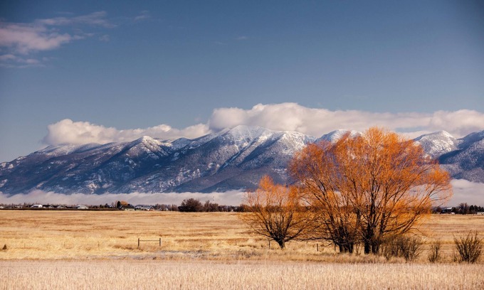 Kalispell Cabin | The Migration Haven! Charming 2-bedroom cabin in wonderful Somers with WiFi