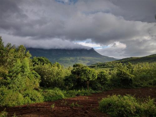Chikkamagaluru Hotel | The Natures Nest Resort