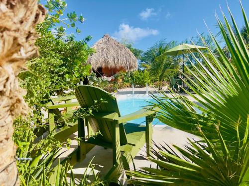 Boka Sami Bed & Breakfast | The Octopus Tropical Oasis