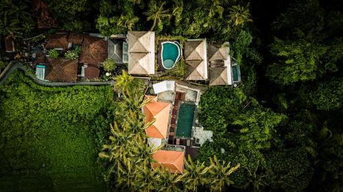 Melayang Hotel | The Pari Sudha