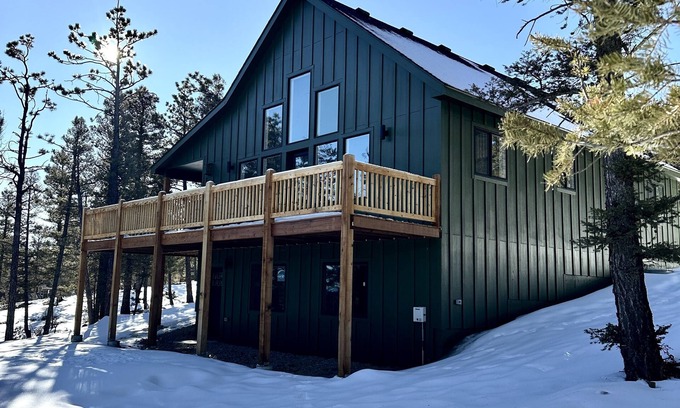 Hartsel Cabin | The Pine Haven A Modern Cabin In the Trees. Close to Buenavista!