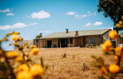 Grahamstown Cabin | The Ranch House at African Safari Lodge