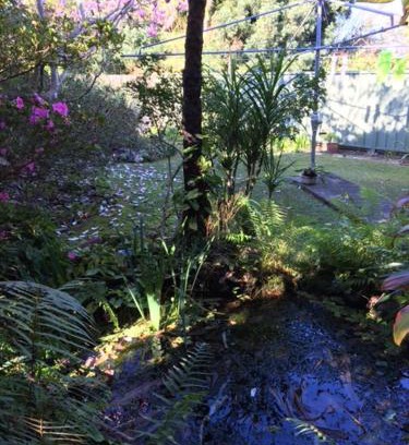 Coffs Harbour Apartment | The singing frogs studio