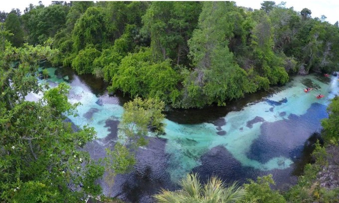 Weeki Wachee Gardens House | The Wiki-Tiki / Great Location/ on the Weeki-Wachee/ 3 Kayaks