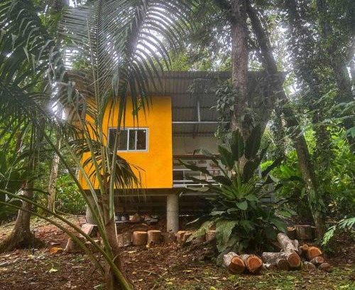 Cocles House | Tiny jungle house, few minutes from the beach