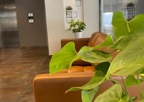 Evaristo Morales Apartment | Torre paseo 29 502