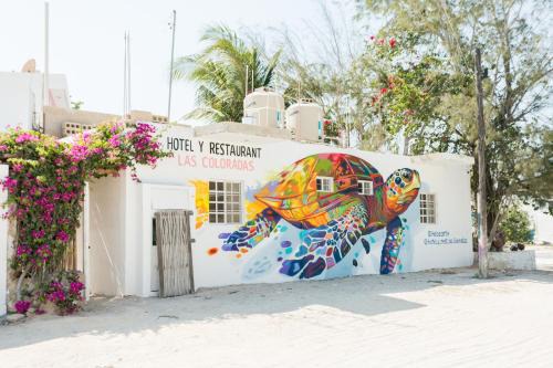 Rio Lagartos Hotel | Tortuga LAS COLORADAS