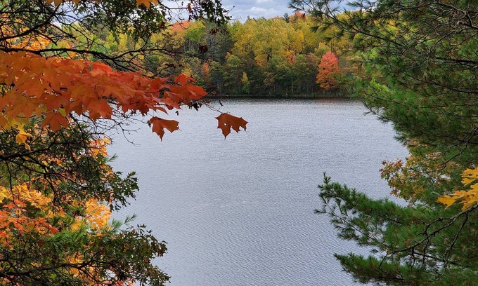 Markville Cabin | Tranquil year round retreat on small quiet lake that has WiFi, a HotTub & Sauna