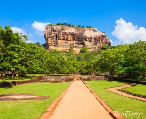 Kimbissa House | Tree Nest Sigiriya