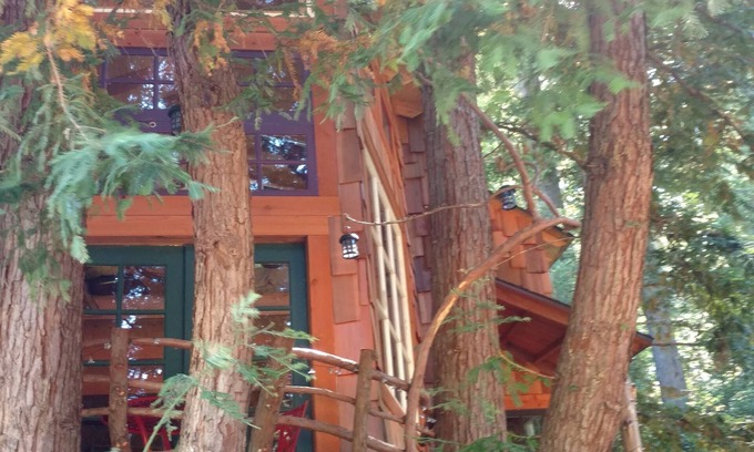 Los Gatos Ski Chalet | Treehouse in the Los Gatos Mountains, Redwoods, Beaches & Silicon Valley