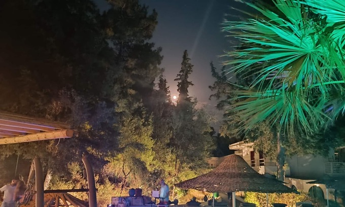 Ixia Hotel | Trees Art Hotel & Suites